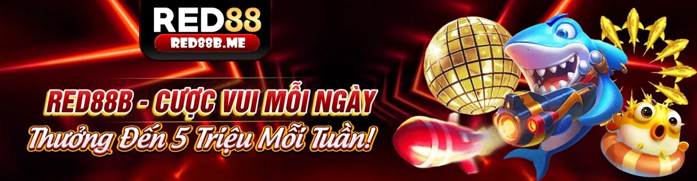Hình ảnh minh họa hướng dẫn chuyên sâu về tin888 app