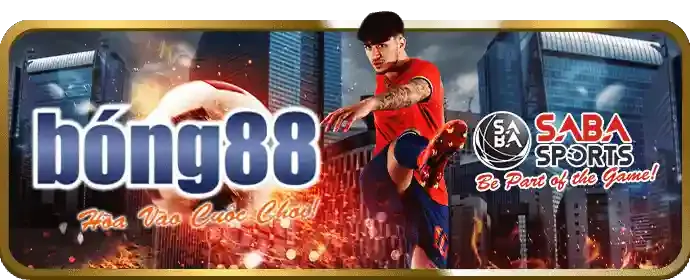 Chính sách bảo vệ người chơi của tin888 app